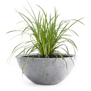 Pflanzwerk® Pflanzkübel Pflanzschale Bowl Ø 45cm Lava Hellgrau *Frostbeständige Blumenschale* *Deutsche Premiumqualität* *Lotus-Effekt Imprägnierung*