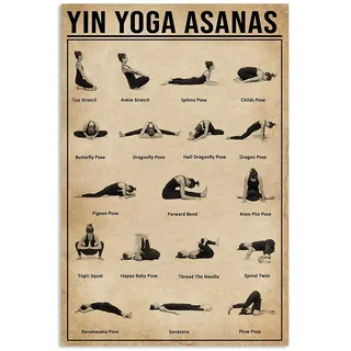 SIGNCHAT Yin Yoga Asanas Decor Poster Wandkunst Dekor Metallschild 20,3 x 30,5 cm