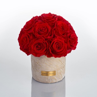 Solid Infinity Collection Golden Sand - Traumhafte Infinity Rosen, 1-3 Jahre haltbare Rosen, Betonvase mit echten, konservierten Rosen, edle Premiumrosen - Größe S (Vibrant Red)