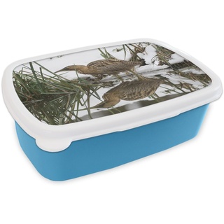 MuchoWow Lunchbox Rohrdommel auf der Jagd im Wasser, Kunststoff, (2-tlg), Brotdose für kindergarten, Vesperbox, Snackbox, Brotbox, Jungen blau