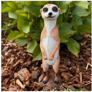 online fuchs Gartenfigur Erdmännchen 29 cm Wetterfest