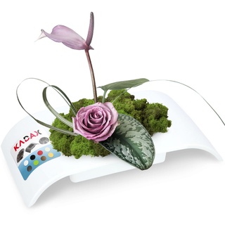 KADAX Ikebana aus Kunststoff, Ikebana Vase, Blumentopf, Blumenschale, Japanischer Blumenhalter für Sonnenblumen, Ikebana-Blumenvase, Blumengestecke (L: 24,9 cm, weiß)