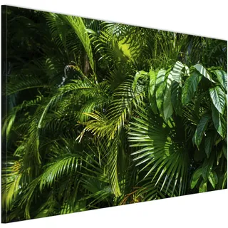 LUMASOUL Wandbilder Wohnzimmer Leinwandbild Dschungel Natur 120x80 cm | 1-teiliges Bild für Schlafzimmer Flur Büro modernes Foto-Motiv Dschungel Palmblätter Exotische Tropische Grüne Blätter Palmen