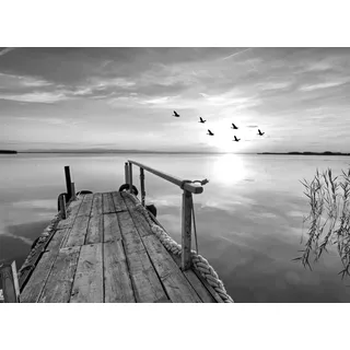 Papermoon Fototapete PAPERMOON "Steg am Wasser Schwarz & Weiß", schwarz (schwarz, weiß), B:3,5m L:2,6m, Vlies, Tapeten