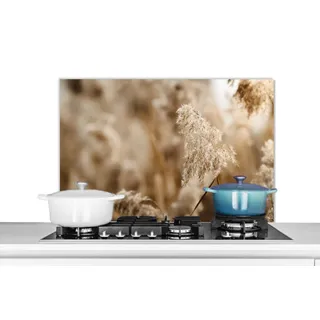 MuchoWow Küchenrückwand Schilfrohr - Pflanze - Natur - Beige, (1-tlg), Herd Spritzschutz Wand, Küche Dekoration, 80x55 cm bunt 80 cm x 55 cm