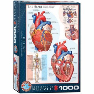 EUROGRAPHICS Puzzle Das Herz 1000 Teile, 1000 Puzzleteile