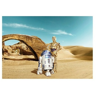 Komar Star Wars Fototapete Lost Droids  (8 -tlg., B x H: 368 x 254 cm, Papier)