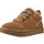 Chestnut 40