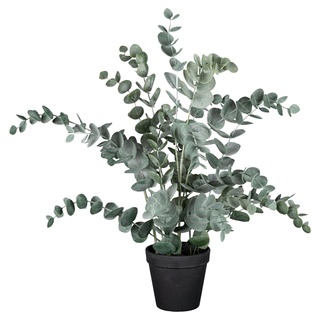 Gasper Kunstpflanze Eukalyptus NELE, Grün - schwarzer Kunststofftopf - H 53 cm