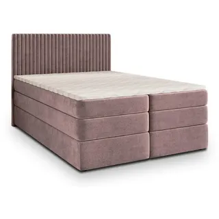 masseno FELBIO 160 x 200 cm H2 Rosa