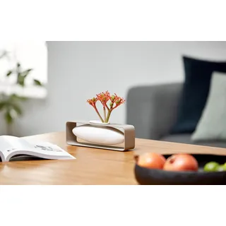 philippi Float Vase quer