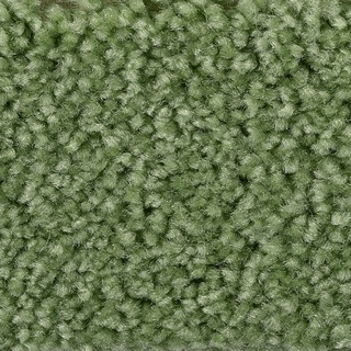 BODENMEISTER Teppichboden "Veloursteppich Pegasus" Teppiche Gr. B/L: 500 cm x 400 cm, 10 mm, 1 St., grün (dunkel grün) Teppichboden