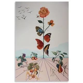 Kunstdruck mit Schmetterlings-Gesicht von Salvador Dalí Maler, Kunstdruck, Fotokunst, Malerei, Leinwand, Heimdekoration, Schlafzimmer, moderne Dekorationen, Geschenke, 50 x 75 cm