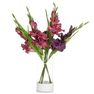 LUMIDA Flora künstliche Gladiolen Glasvase inkl. LED-Beleuchtung Höhe 60cm