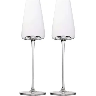 Intirilife 2x Champagner Glas mit modernen Design - 220 ml Füllmenge - Sekt Prosecco Glas Spülmaschinenfest Kristallglas stoßfest