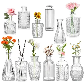 ZgoEC 12pcs Kleine Vasen für Tischdeko, Vintage Glasvasen Set in 12 Muster | Mini Vasen Set für Hochzeitsdeko, Heimdeko, Transparent Glasvasen für Blumen, Tischdekoration Geschenk, Blumenvasen Heimdeko