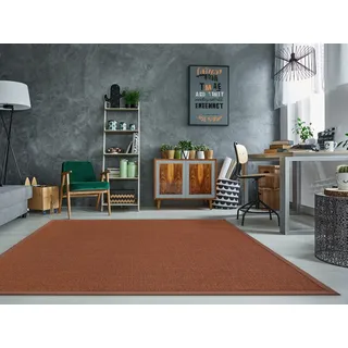 DEKOWE Mara S2 Sisalteppich 300 x 400 cm terra