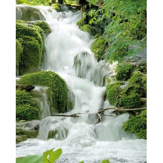Wasserfälle - Feng Shui - Mini Poster Beach Poster Foto Wasserfall Wald - Grösse 50x40 cm