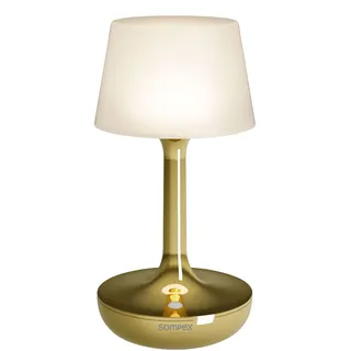 SOMPEX GINN Gold