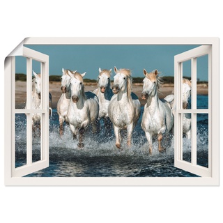 Wandbild ARTLAND "Fensterblick Pferde am Strand" Bilder Gr. B/H: 100 cm x 70 cm, Poster, weiß Bild Poster Bilder als Alubild, Leinwandbild, Wandaufkleber oder in versch. Größen
