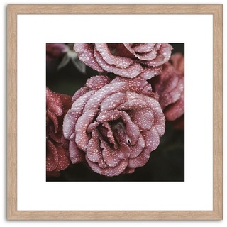 artissimo Bild mit Rahmen Bild gerahmt 30x30cm / Design-Poster inkl. Holz-Rahmen / Wandbild, Blumen: Lila Blüten IV rosa|schwarz