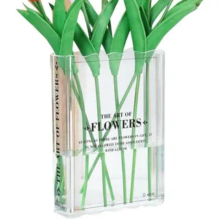 Famanu Bücher-Vase - Einzigartiges Buchdesign - 23,9 x 16,5 cm - Transparent