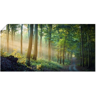 Wandbild ARTLAND "Herbstmorgen im Wald" Bilder Gr. B/H: 60 cm x 30 cm, Poster, grün Bilder als Alubild, Leinwandbild, Wandaufkleber oder Poster in versch. Größen
