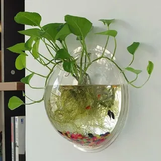 Wandvase Acryl - Runde, durchsichtige Blumenvase