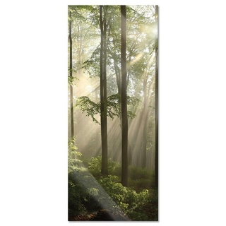 Pixxprint Glasbild Sonnenstrahlen im Wald, Sonnenstrahlen im Wald (1 St), Glasbild aus Echtglas, inkl. Aufhängungen und Abstandshalter bunt|grün 100 cm x 40 cm