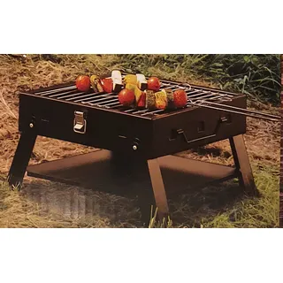 ACTIVA Grill Klappgrill Campinggrill Picknickgrill Holzkohlegrill - NEU & OVP