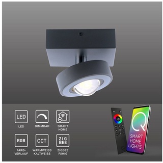 Paul Neuhaus Smarte LED-Leuchte LED Deckenleuchte anthrazit Q - MIA Smart Home, Smart Home, CCT-Farbtemperaturregelung, RGB-Farbwechsel, Dimmfunktion, Memoryfunktion, mit Leuchtmittel, Deckenspot dimmbar, Fernbedienung Works with Alexa grau