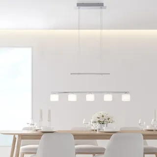 Paul Neuhaus GREZIA 5-flg. 80 x 120 cm silber grau weiß Stahl Glas