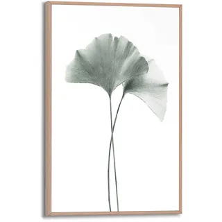 REINDERS Gerahmtes Bild, Ginkgo Blatt, Wohnzimmer, Bilder, Wanddeko, Room Decor, MDF, Grün, 30 x 20