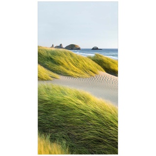 Duschrückwand - Dünen und Gräser am Meer, Material:Hartfolie Smart Glanz 0.32 mm, Größe HxB:1-teilig 210x80 cm