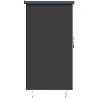 vidaXL Rollo 140 x 250 cm Anthrazit