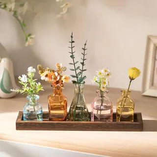 Glasseam Glas Kleine Vasen für Tischdeko: 5 Mini Vasen Set mit Holztablett