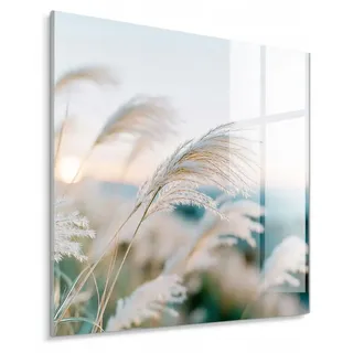 STYLER Glasbild 30x30 cm al Reeds Schilfgras Küstenmotiv Natur Wanddekoration Wohnzimmer Schlafzimmer