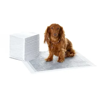 Amazon Basics Welpenunterlagen mit Aktivkohle, Trainings Pad Hund, Auslaufsicher, 56cm x 56cm, Grau, 40er-Pack
