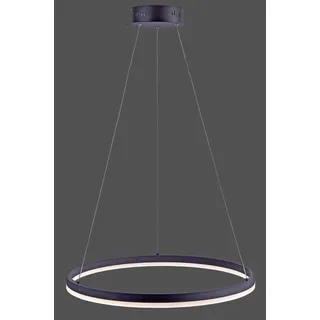 Paul Neuhaus TITUS 1-flg. 38,5W Ø 60 cm rund/grau