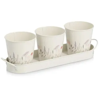 Zeller Kräutertopf-Set 10,5 x 11 x 37 cm Weiß