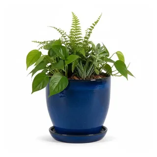 Teramico Pflanzkübel Blumentopf aus Keramik Modell "EggPot" 27cm Royal Blau mit Teller, 100% Frostfest blau|grau