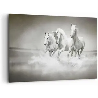 Famanu Leinwandbild Pferde im Galopp 120x80cm - Moderne Wanddekoration für Wohnzimmer und Schlafzimmer