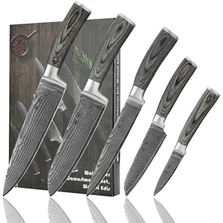Wakoli EDIS Messerset 5-teilig aus 67 Lagen Damaststahl mit VG10-Kern | Chefmesser, Fleischmesser, Santoku, kleines Santoku und Officemesser mit 15° V-Schliff, 60±2 HRC und grauen Pakkaholzgriffen