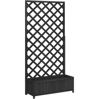 vidaXL Pflanzkübel mit Spalier 100 x 40 x 200 cm Schwarz
