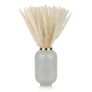 Blumtal Pampasgras Trockenblumen, 100 Stück, 58–60 cm, Weiß