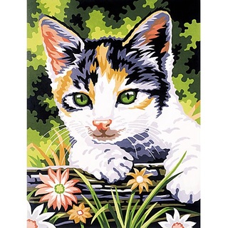 Malen nach Zahlen mit Acrylfarben "Katze", 23 x 30,5 cm