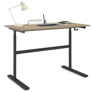IDMarket - Stehpult Jeanne Sitz-Steh-Kurbel höhenverstellbar 70-120 cm Holz Buche und Schwarz