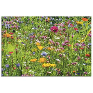 ARTland Wanddeko Wandbild Alu Verbundplatte für Innen & Outdoor Bild Blumenbilder Blumenwiese Blüten Frühling Blumen Bunt U2KT