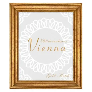Einzelrahmen Bilderrahmen Vienna, (1 Stück), 45x60 cm, Gold Antik, Holz goldfarben 45 cm x 60 cm