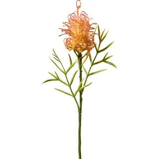 Protea Zweig 78cm orange